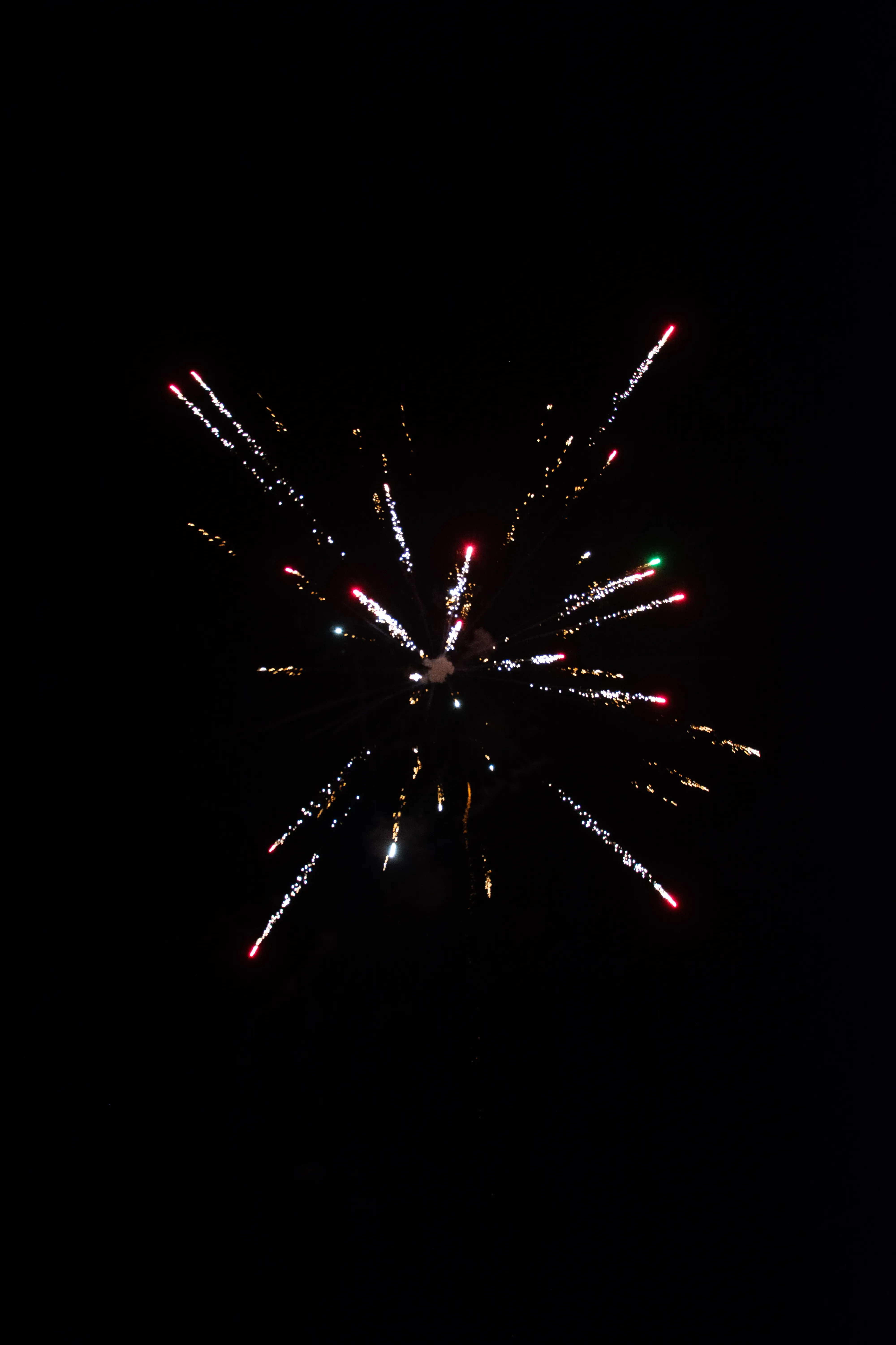 DSC_2479